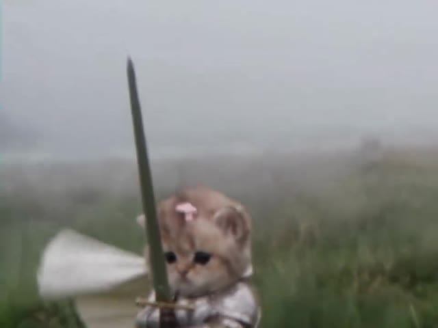 授权参考：持剑小猫与成年健身骑士