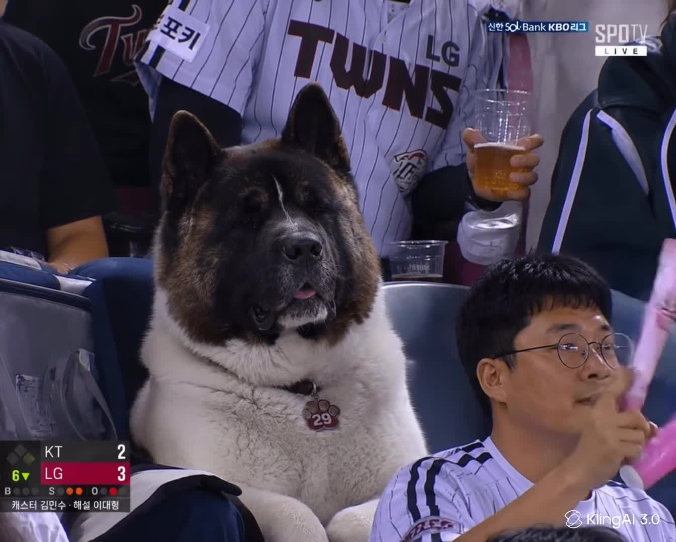 Licensed Akita baseball-crowd reference with broadcast graphics