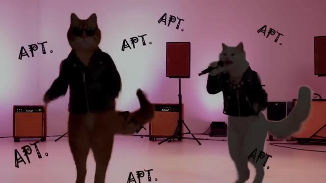授权参考：APT 猫咪音乐短片