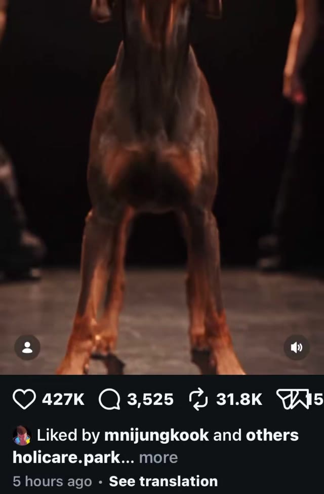 授权参考：转载的 Instagram 狗狗舞蹈屏幕录制